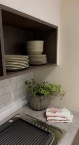 a kitchen counter with plates and a plant in a cabinet at The Yellow Door in Castleisland