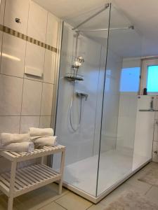 a shower with a glass enclosure in a bathroom at Chalet zum See in Bregenz