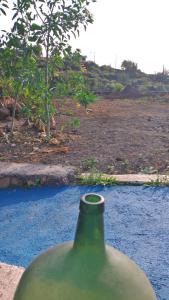 a green vase sitting on top of a body of water at Finca Cosmos in El Paso