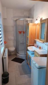 a bathroom with a shower and a toilet and a sink at Ferienwohnung Am Floßgraben in Bad Schlema
