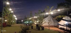 a park at night with street lights and a tent at เต็นท์4ท่าน in Ban Khao Ya Nua +10 photos