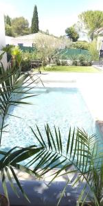 - une vue sur une piscine d'eau avec une plante dans l'établissement Villa contemporaine avec piscine dans un cadre verdoyant, à Calvisson