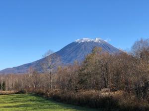 Hotel Resort Inn Niseko في نيسيكو: جبل مغطى بالثلج في المسافة مع حقل وأشجار