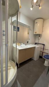 a bathroom with a shower and a sink and a toilet at Maison centre bourg à 50m de la plage in Cherrueix +9 photos