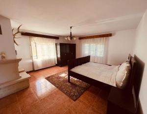a bedroom with a bed in a room at Countryside house with 3 bedrooms in Bonţeşti