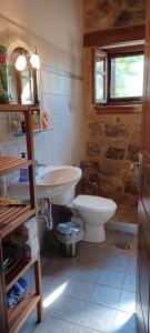 Lilea Country House في Lílaia: حمام به مرحاض أبيض ومغسلة