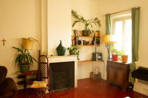 uma sala de estar com lareira e algumas plantas em Jolie chambre dans appartement cosy en plein centre em Marselha