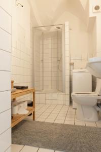 a white bathroom with a shower and a toilet at Gewölbe aus dem Jahr 1806 genau zw L und DD in Mügeln +6 photos