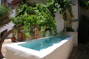 - une piscine avec un arbre à côté d'un bâtiment dans l'établissement Casa histórica Gines, à Ginés