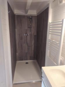 een badkamer met een douche en een wastafel bij Maisonnette in Talloires