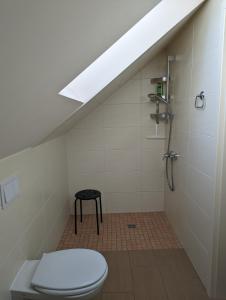 a bathroom with a toilet and a shower at Hotel Karl's Burg in Kolpinsee
