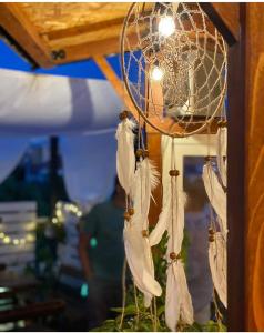 Galería fotográfica de The Rooftop Hostel en Shkodër
