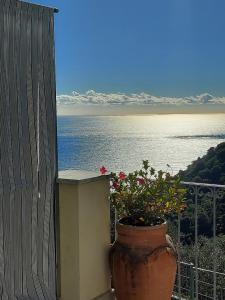 a vase with flowers on a balcony overlooking the water at Dependance Belvedere in Recco