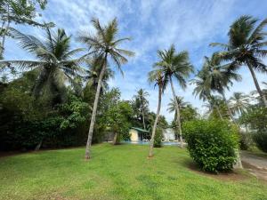 Villa Gaetano Unawatuna في يوناواتونا: نخلتين في ساحة مع منزل