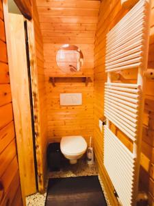 a bathroom with a toilet in a wooden cabin at Ferienwohnung Steinberger in Fügenberg