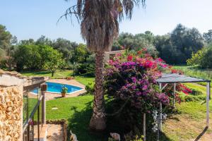 The swimming pool at or close to Finca Pep