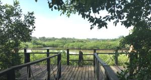 Gallery image of Bakotu Hotel in Kotu