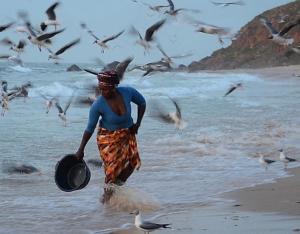 a woman walking on the beach with a flock of birds at Bakotu Hotel in Kotu