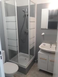 a bathroom with a shower and a toilet and a sink at Appartement dans les vignes varoises in Brue-Auriac +18 photos