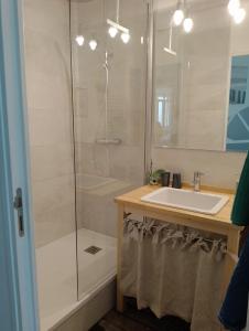 a bathroom with a sink and a shower at Appartement Cosy in Ault