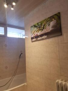 a bathroom with a shower with a painting on the wall at superbe appartement en résidence prive avec un parking prive in Scionzier