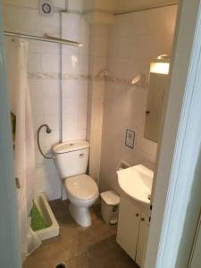 a small bathroom with a toilet and a sink at G&L - Beautiful apartment just a few steps from the sea! in Kokkíni Khánion
