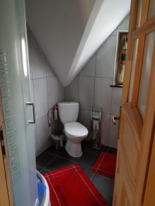 a small bathroom with a toilet in a attic at U Garczków in Witów