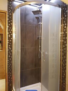 a shower with a glass door in a bathroom at U Garczków in Witów