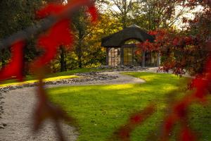 Zahrada ubytování Het Hilkensberg Park