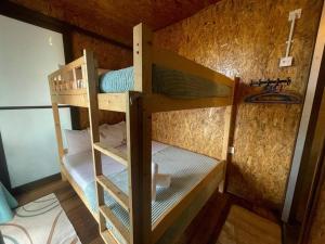 kilka łóżek piętrowych w pokoju w obiekcie Rembulan Escape - The Container House w mieście Kampung Penarik