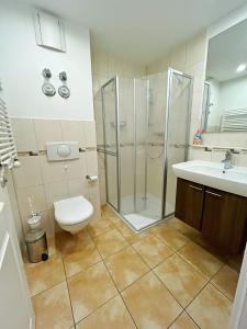 a bathroom with a shower and a toilet and a sink at Ferienwohnung Strandflair in Baabe