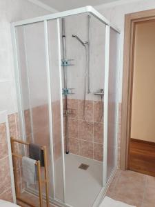 リヴェラにあるBnB Rivera-Monteceneriのバスルーム(ガラス張りのシャワー付)が備わります。