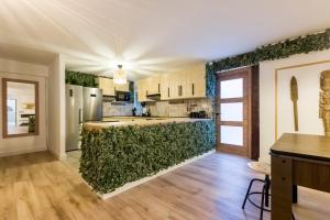 una cocina con una pared verde en Santo - Coworking - Coliving - Madrid, en Madrid
