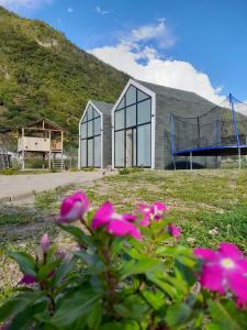 ein Gebäude mit Glasfenstern auf einem Feld mit rosa Blumen in der Unterkunft Cabañas Killari in Oxapampa