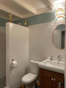 een badkamer met toilet en wastafel bij Villa Soualiga Orient Bay 150 m de la plage in Orient Bay