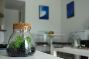 a glass jar with a plant in it on a counter at Blue Ocean Corralejo: Sunny terrace, pool, wifi in Corralejo
