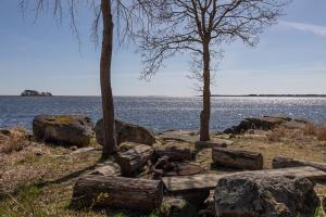 a bench sitting next to the water with trees and rocks at Havsstugan in Sölvesborg