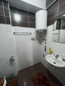 a small bathroom with a sink and a mirror at Apartman Lavanda Banja Koviljaca in Banja Koviljača