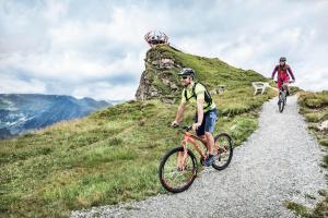 Fotografia z galérie ubytovania Haus Alpengold v destinácii Bad Hofgastein