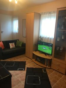 sala de estar con TV y sofá en ZSUTI BORHÁZ, MAGÁNSZÁLLÁSHELY, 