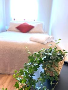 Fotografia z galérie ubytovania Ruben apartament z romantycznym balkonem Toruni