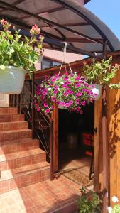 克利默內甚蒂的住宿－Casa Fabrizio，悬挂在凉棚里的一组花
