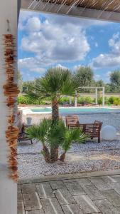 uma palmeira sentada ao lado de dois bancos ao lado de uma piscina em B&B Sogno Salentino em Lizzano