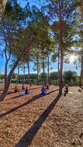 un gruppo di persone sedute nell'erba sotto gli alberi di B&B Sogno Salentino a Lizzano