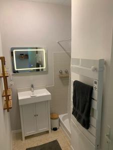 La petite salle de bains est pourvue d'un lavabo et d'un miroir. dans l'établissement L'Ancienne Raffinerie de Tabac, à Dernacueillette