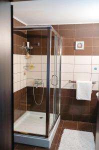 a shower with a glass door in a bathroom at Ande House in Orşova +24 photos