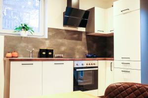 Kuchyň nebo kuchyňský kout v ubytování Imi Appartement + 7 fotografií