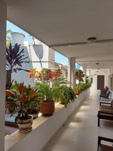 a balcony with potted plants on a building at Hotel San Diego in Yopal