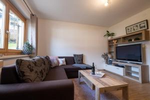 uma sala de estar com um sofá e uma televisão em Apart Leitner em Lermoos