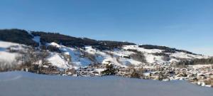 Lune D'Argent Appartement avec vue sur la montagne v zime